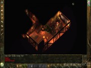 Icewind Dale: Heart of Winter 13