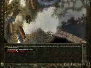 Icewind Dale: Heart of Winter 14