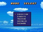 Jennifer Capriati Tennis 11