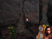 Lands of Lore: Guardians of Destiny 3