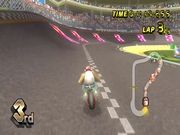 Mario Kart Wii 13