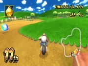 Mario Kart Wii 10