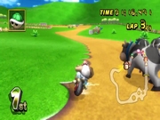 Mario Kart Wii 7