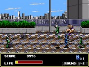 Mazin Saga Mutant Fighter 9