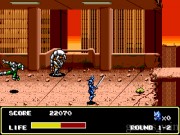 Mazin Saga Mutant Fighter 14