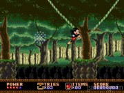 Mickey Mouse Castle of Illusion 1
