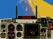 Mig-29 Fighter Pilot 3