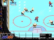 NHLPA Hockey 10