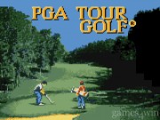 PGA Tour Golf 1