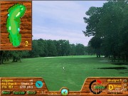 Picture Perfect Golf 4