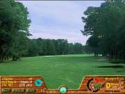 Picture Perfect Golf 2