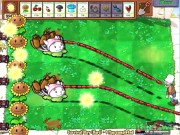 Plants vs. Zombies 13