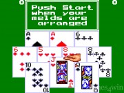 Poker Face Paul's Gin 9