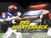 Pro Quarterback 1