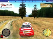 Rally Championship '99 14