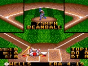 RBI Baseball 94 21