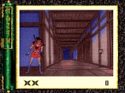 Revenge of the Ninja 2