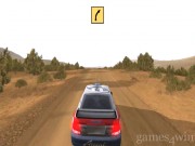 Richard Burns Rally 9