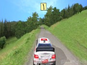 Richard Burns Rally 11