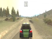 Richard Burns Rally 15