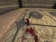 Rune: Halls of Valhalla 14