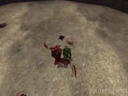 Rune: Halls of Valhalla 12