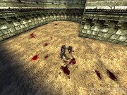 Rune: Halls of Valhalla 11