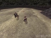 Rune: Halls of Valhalla 10