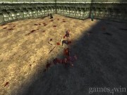 Rune: Halls of Valhalla 9