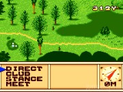 Scratch Golf 5