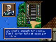 Shining Force 3