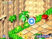 Sonic 3D Blast 3