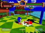 Sonic Fighters 9