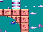 Sonic The Hedgehog 2 27