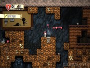 Spelunky 16