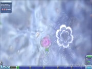 Spore 4