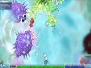 Spore 16