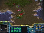 StarCraft 12