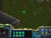 StarCraft 11