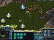 StarCraft 8