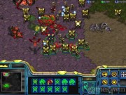 StarCraft 4