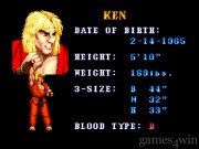 Street Fighter II - Special Champion Edition 12