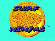 Surf Ninjas 2