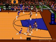 Team USA Basketball 6