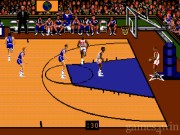 Team USA Basketball 12