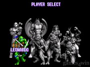 Teenage Mutant Ninja Turtles: Tournament Fighters 7