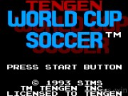 Tengen World Cup Soccer 1