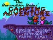 The Berenstain Bears Camping Adventure 1