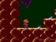 The Berenstain Bears Camping Adventure 9