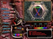 The Daedalus Encounter 11